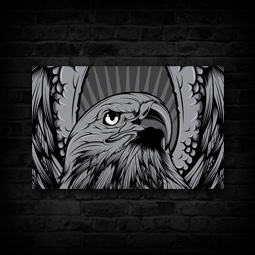 EAGLE CANVAS