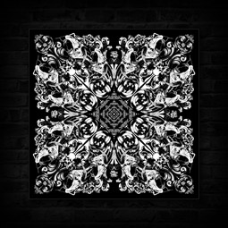 ORDER & CHAOS CANVAS